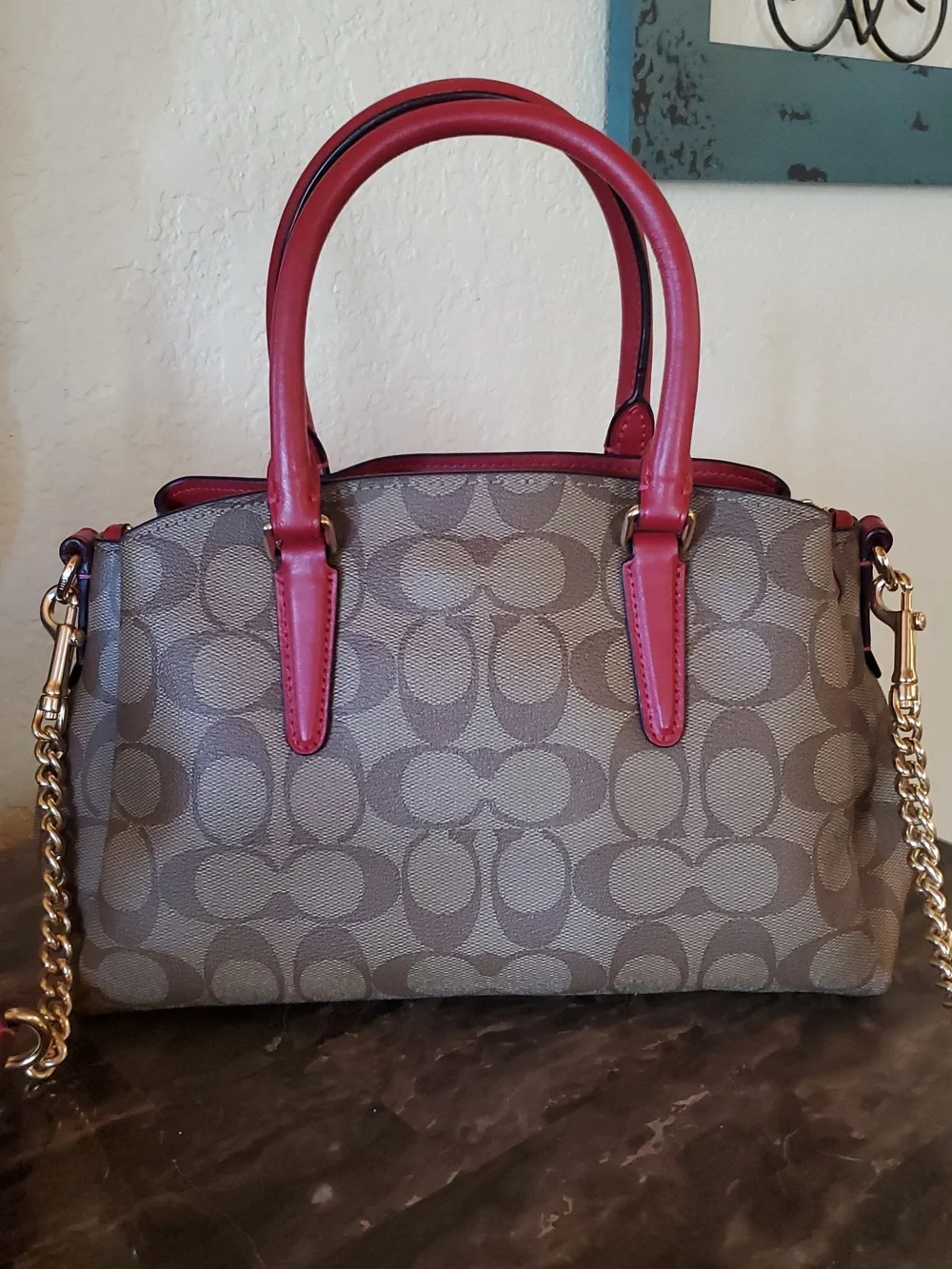 NEW Coach Mini Sage Signature Carryall